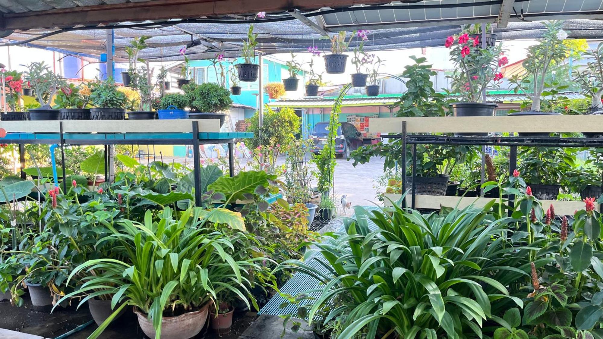 Pa Chalermchai Guesthouse Bangkok Dış mekan fotoğraf